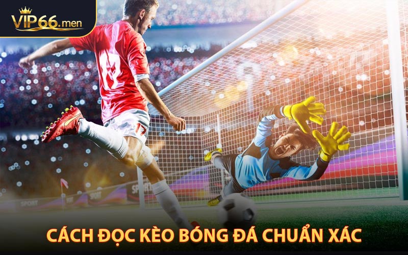Cách Đọc Kèo Bóng Đá Chuẩn Xác Từ Cao Thủ Kinh Nghiệm